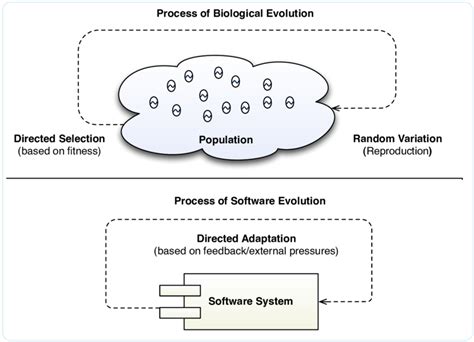 Evolution Process Flow Chart 的图像结果
