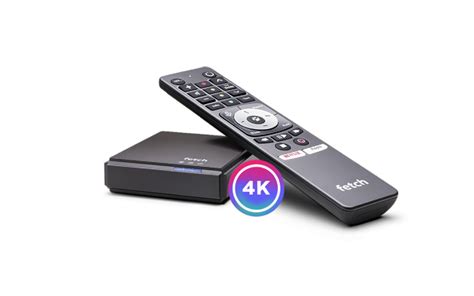 Set Up Fetch Mini 的图像结果