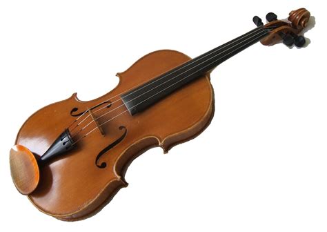 Image result for Viola String Instrument