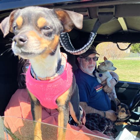 2025 LCSO Spring Rabies Clinic, 1 Woolfolk Avenue Suite 101, Louisa, VA ...