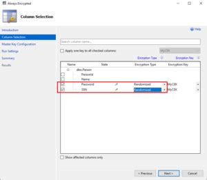 Image result for SQL Server Example of Field Level Encryption