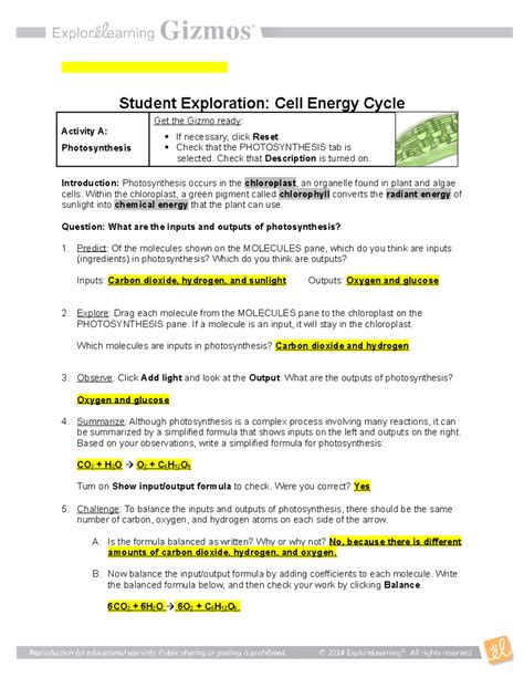 Cell Energy Cycle Exploration - Photosynthesis & Respiration - Studocu