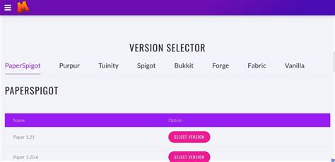 Joignable SMP Java 的图像结果