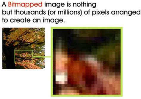 Bitmap Computer Science 的图像结果