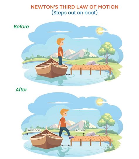 Newton's Third Law 的图像结果