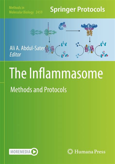 Buy The Inflammasome: Methods and Protocols: 2459 (Methods in Molecular ...