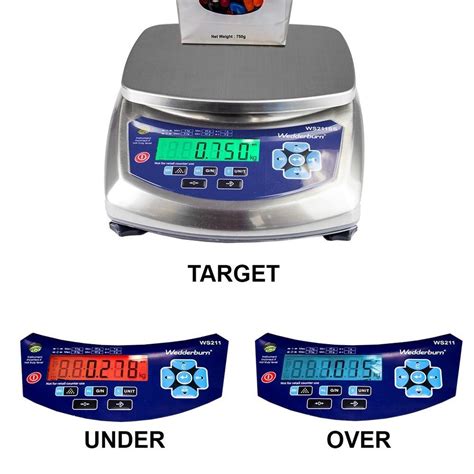 Weighing Scales - Digital Platform Scale Manufacturer from Vadodara