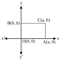 Section Formula Explained 的图像结果