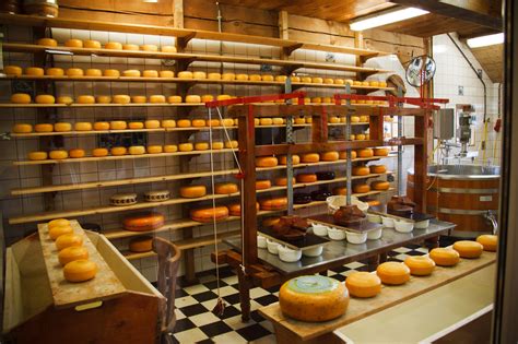 Image result for Ancient Cheese Factory