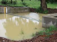 Transforming Livelihood of Tribal Farmers in Odisha through Integrated ...