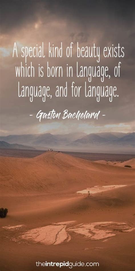 Quotes About Language 的图像结果
