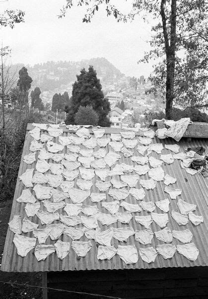 Photoink | Exhibitions | Martin Parr