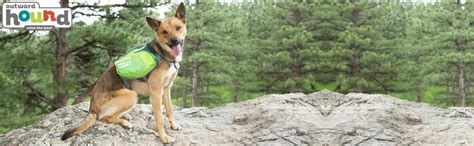 Buy Daypak Dog Backpack Hiking Gear For Dogs by Outward Hound, Large ...