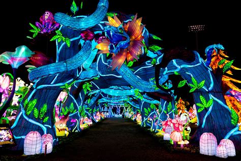 Tianyu Lights Festival Dallas | Buy Tickets