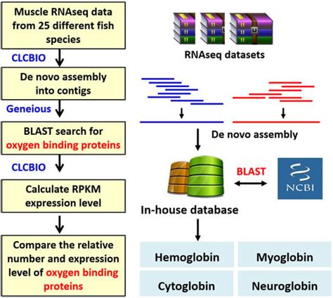 Meta-Transcriptomic Analysis of RNAseq Data Reveals Pacu and Loach Fish ...