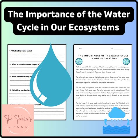 The Importance of the Water Cycle in Our Ecosystems Reading and ... - Worksheets Library