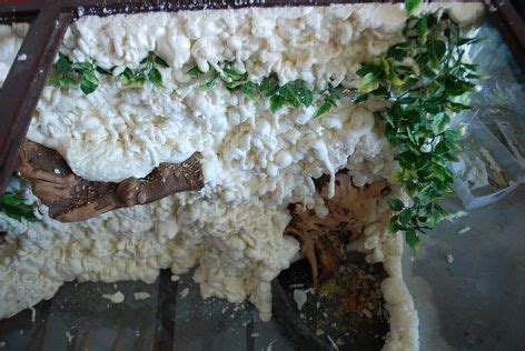 DIY: Realistic Foam Background | Diy reptile, Reptile enclosure ...