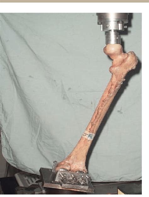 Axial Compression Test 的图像结果