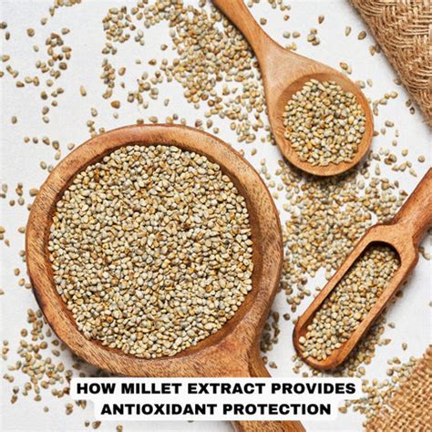 Why Millet Extract Is the Skincare Ingredient You Need | Clinikally
