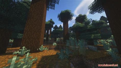 Image result for How to Use Complementary Shaders