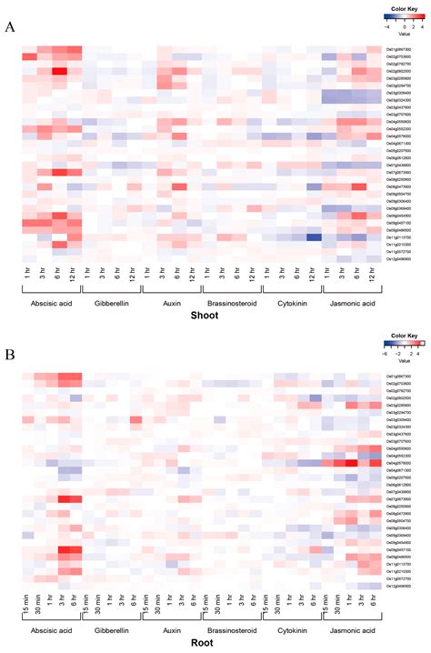 Identification and Regulation of Hypoxia-Tolerant and Germination ...
