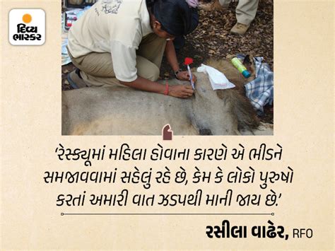 Gujarat's first woman forest officer Rasila Vadher | 1100 જંગલી ...