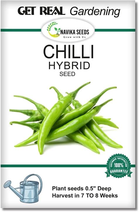Growtime Chilli Dark Green Vegetable Seeds, Vegetable Seeds for Home ...