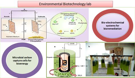 Environmental Biotechnology | Bioscience & Bioengineering | IIT Jodhpur