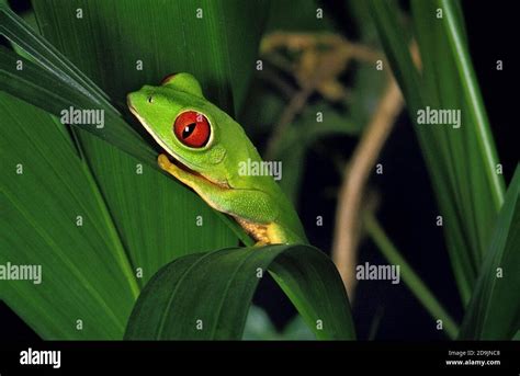Image result for New Line JavaScript