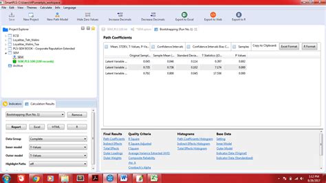 Sem SmartPLS 的图像结果