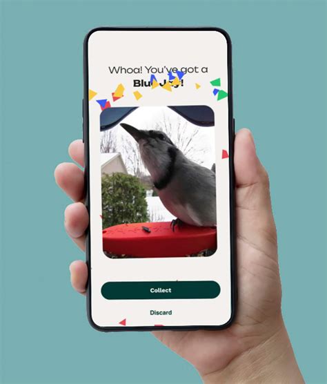 Bird Buddy – Smart Bird Feeder with Solar Roof – Blue – Sansujyuku