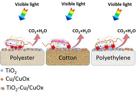 Accelerated Antibacterial Inactivation on 2D Cu-Titania Surfaces ...