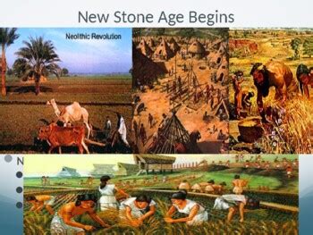 Stone Age Agriculture 的图像结果