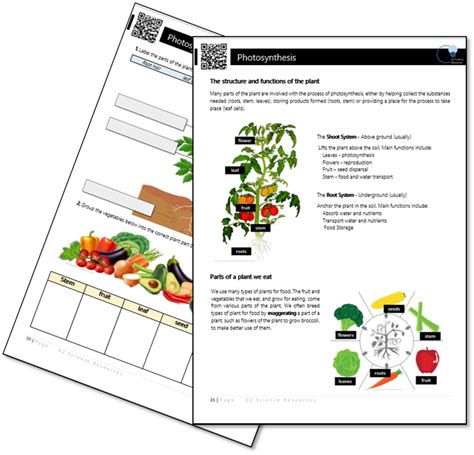 Image result for JR Tutorials Science