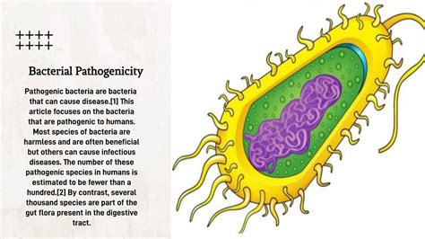 Image result for Pathogenicity of Microorganisms