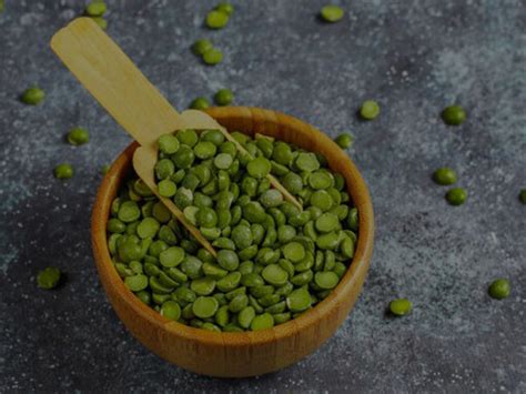 Sustainable protein sources: guide to alternatives | Meer