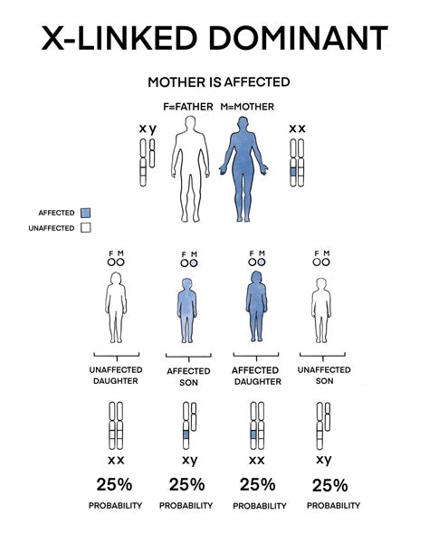 Genetic basics and inheritance pattern - Gene Vision