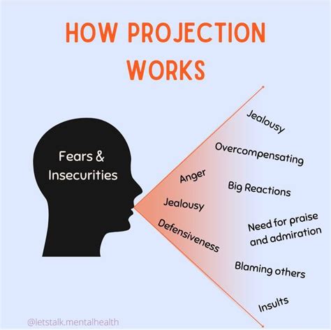 Image result for Psychological Projection Examples
