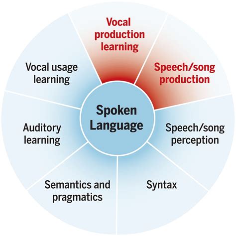 Spoken Language 的图像结果