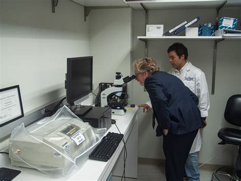 National Cancer Institute designation and improved cancer outcomes will require statewide ...