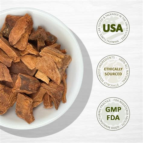 Evergreen Herbs Cocolmeca Bark Herb - 1 LB Greenbrier, Sarsaparilla ...