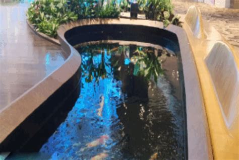 AW (India) Fountains and pools Pvt Ltd