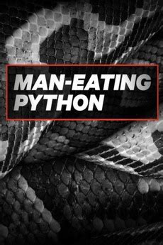 Image result for Python Eating Man