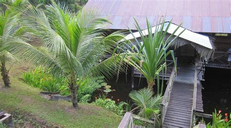 TREETOPS LODGE (Miri, Sarawak) - Lodge Reviews & Photos - Tripadvisor