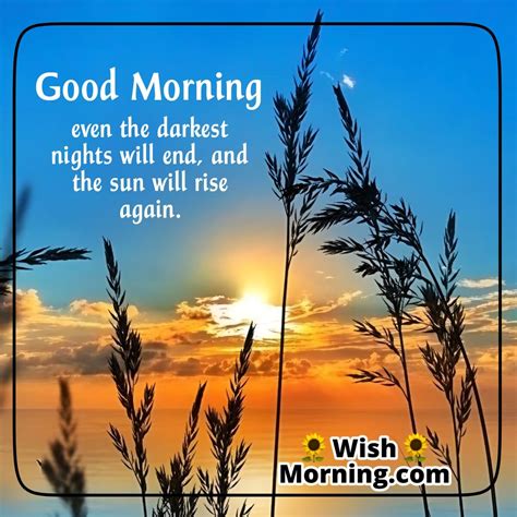 Good Morning Nature Images to Start the Day with Peace - Wish Morning