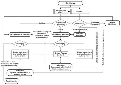 Resilience and Systems—A Review