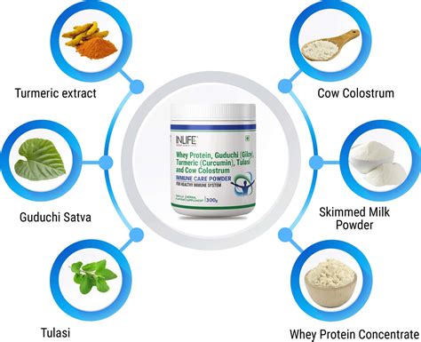 Buy INLIFE IMMUNE CARE / BOOSTER PROTEIN POWDER, WHEY PROTEIN WITH ...