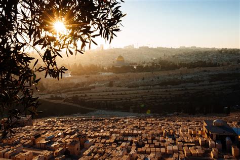 Mount of Olives Jerusalem - the oldest cemetery | City of David