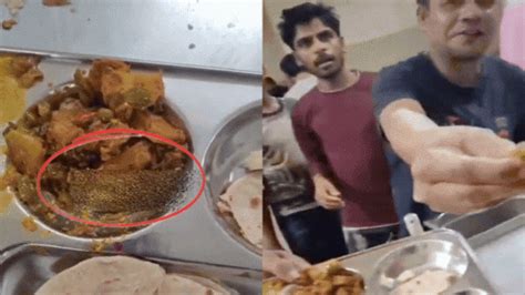 Latest Viral News (वायरल न्यूज़) in Hindi | वायरल खबरें | Viral Videos ...