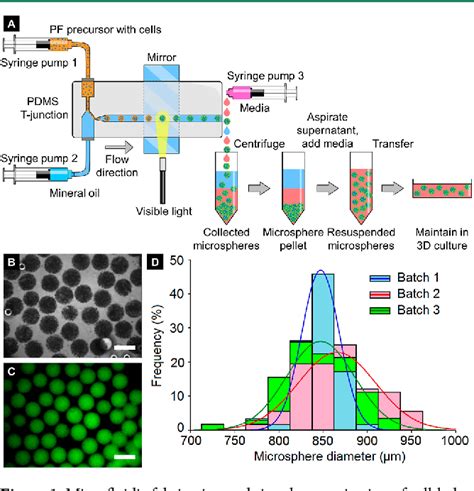 Image result for Definity Injection